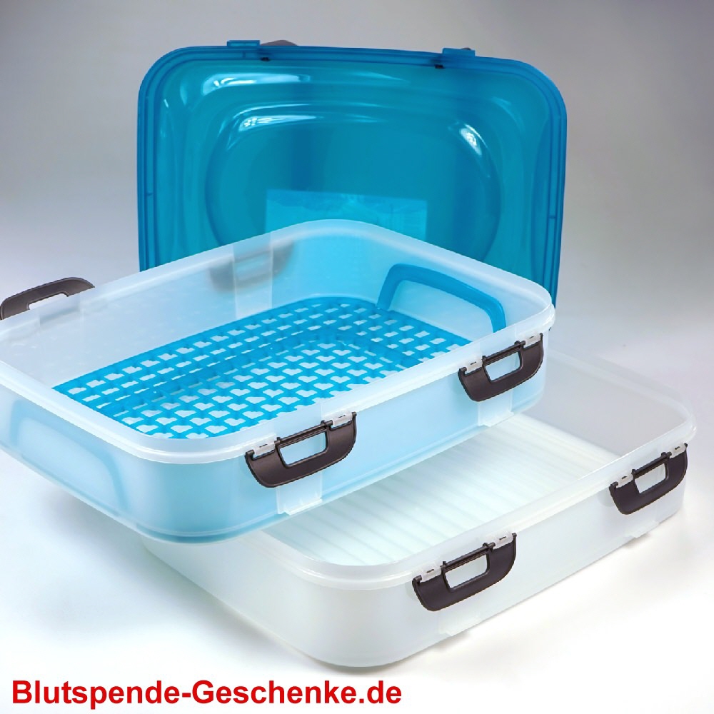 Partycontainer aus Kunststoff