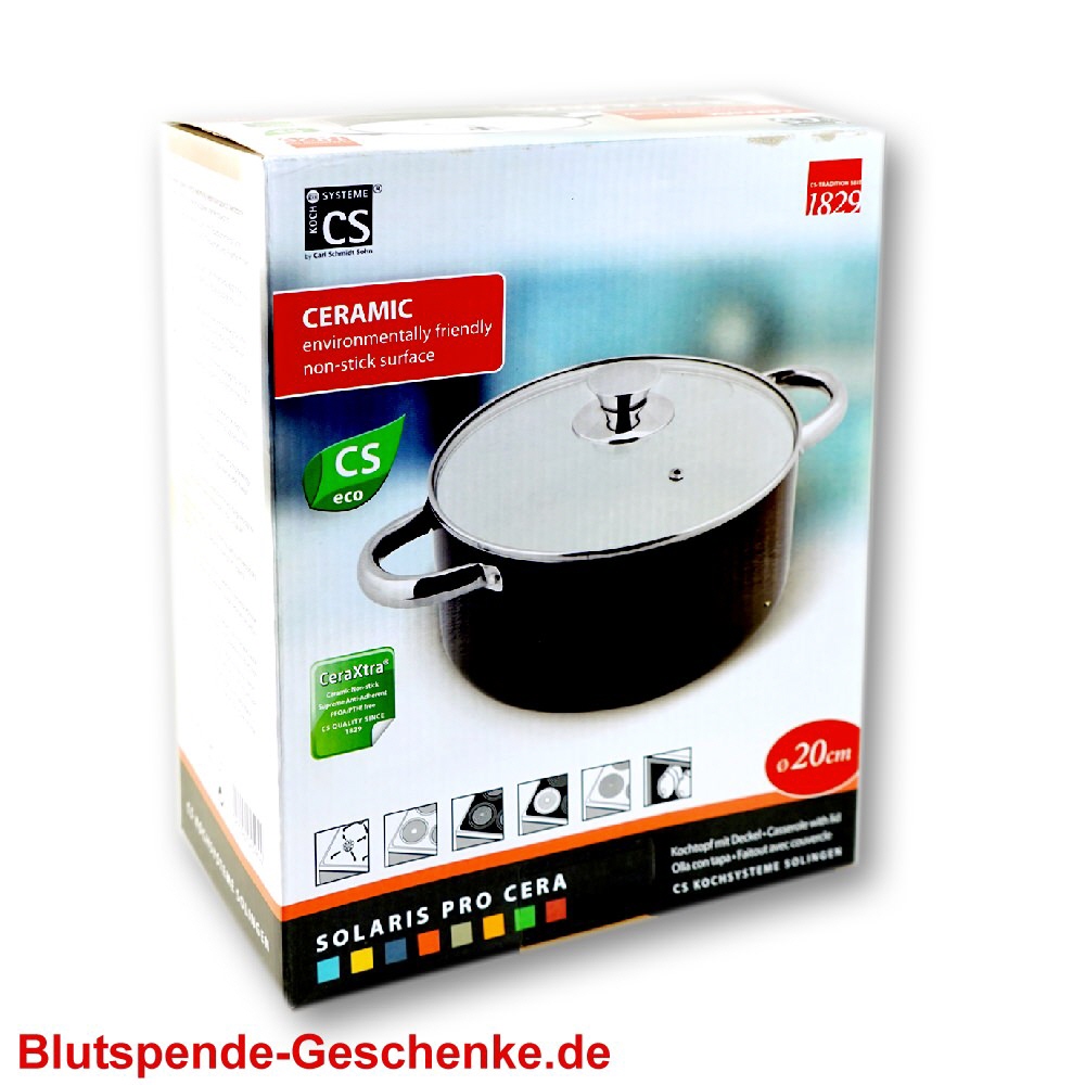TreuePräsent Kochtopf mit Deckel 20 cm