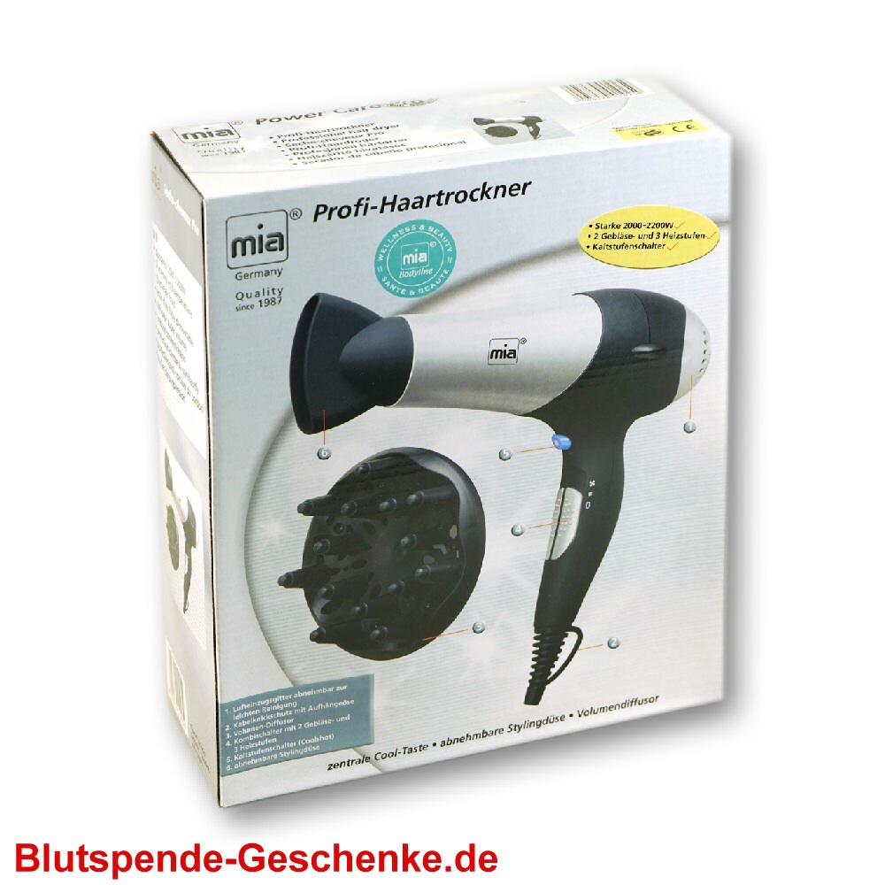 TreuePräsent Profi-Haartrockner