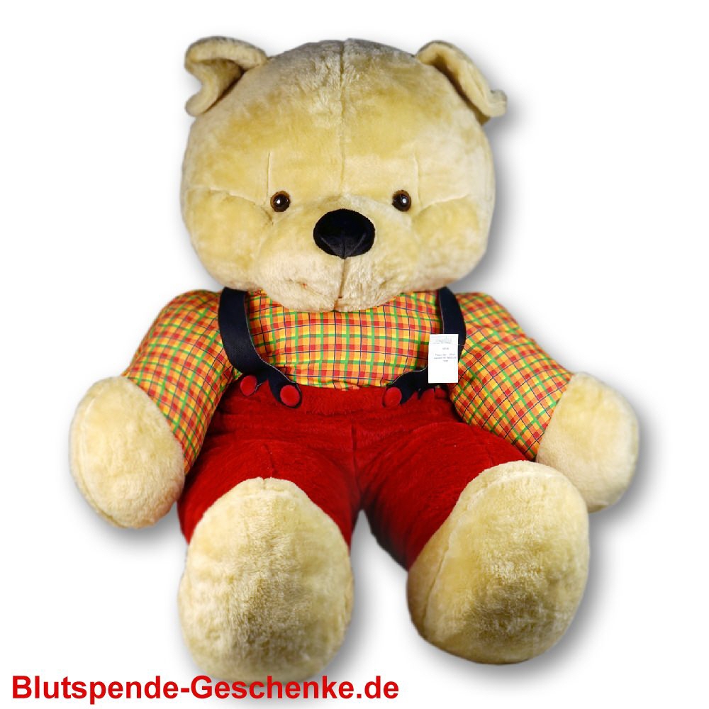 TreuePräsent Plüsch-Bär mit Hose 130 cm