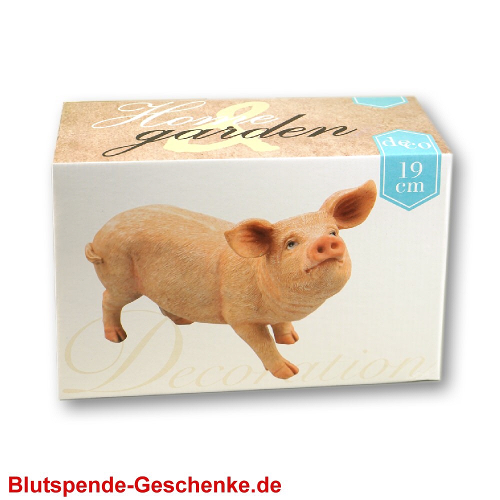Blutspendegeschenk Deko-Schwein