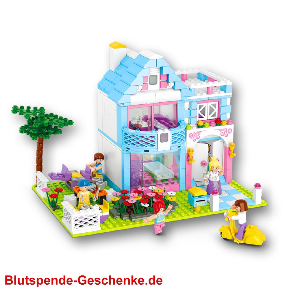 Blutspendegeschenk Steckbaustein-Haus