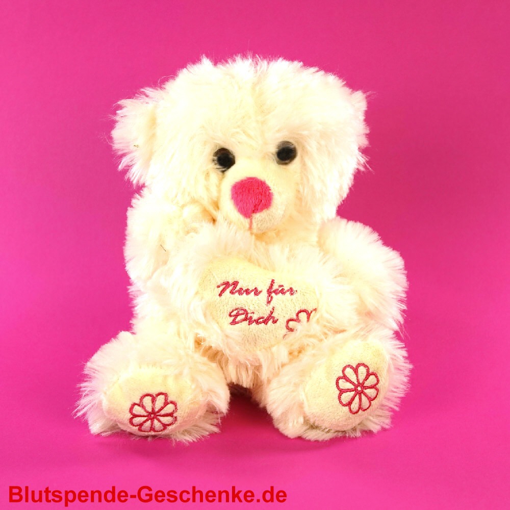 Blutspendegeschenk Plüschbär