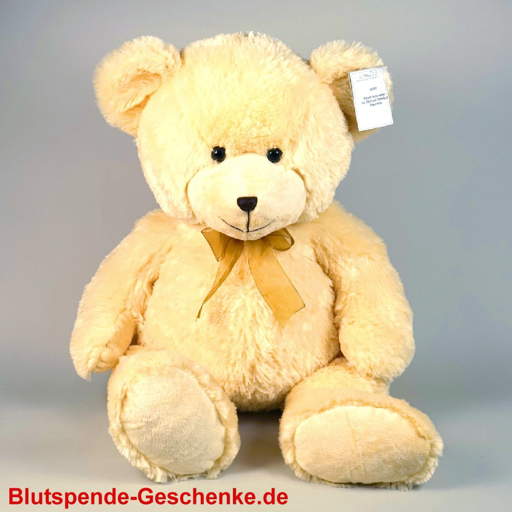 Blutspendegeschenk Plüschbär mit Schleife 70 cm