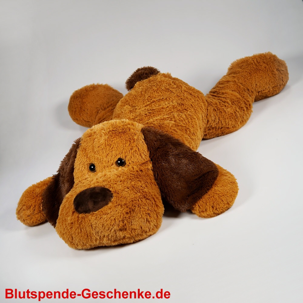 Blutspendegeschenk Plüschhund liegend XXL