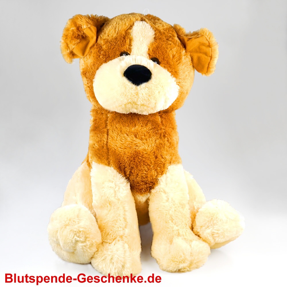 Blutspendegeschenk Plüschhund sitzend 60 cm