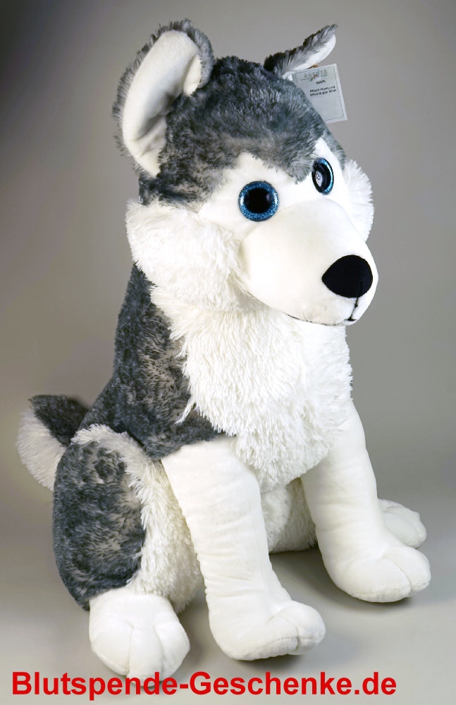 Blutspendegeschenk Husky mit Glitzeraugen
