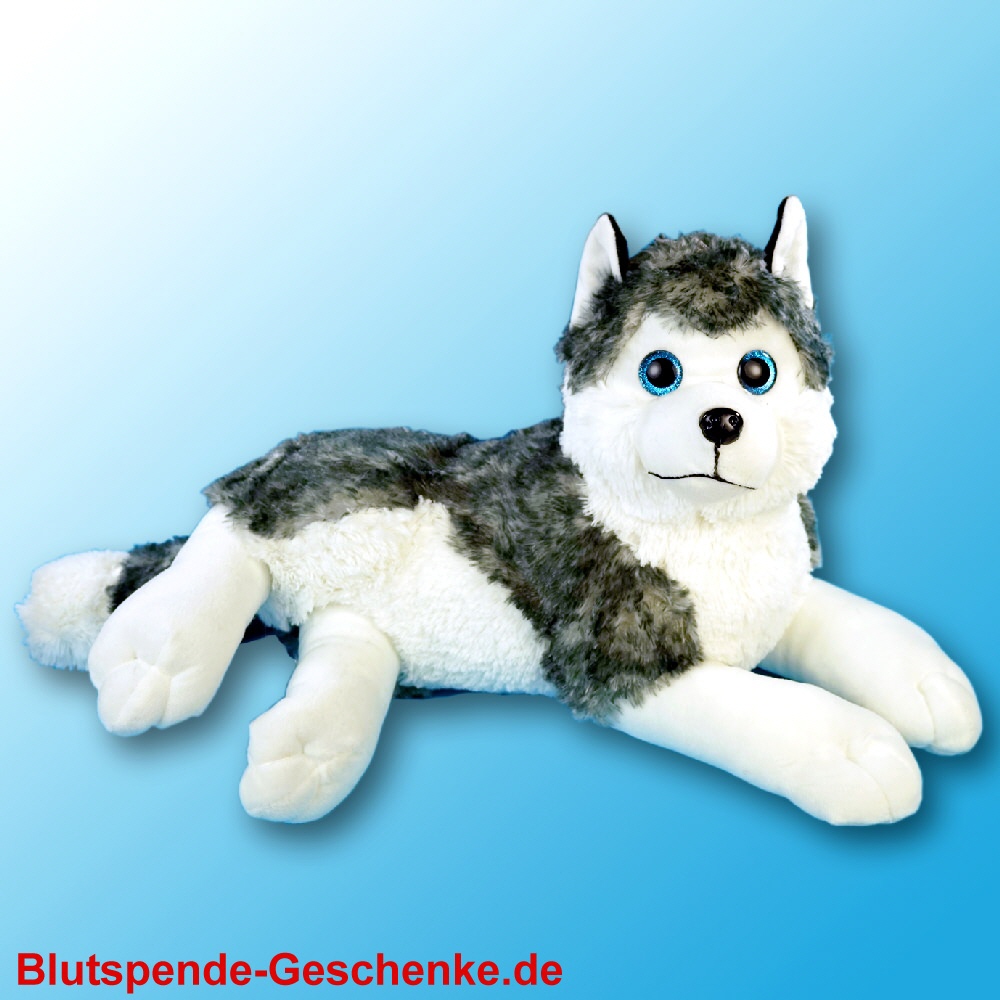 Blutspendegeschenk Plüsch-Husky liegend