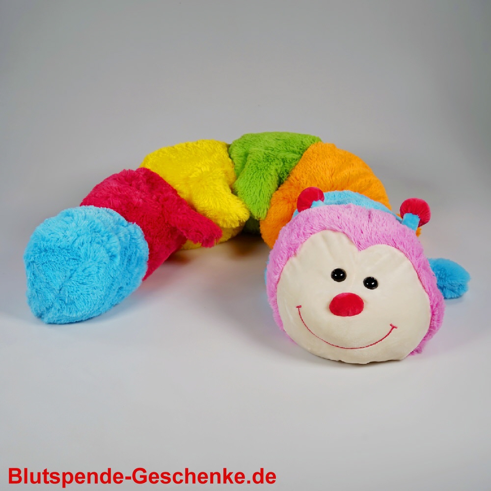 Blutspendegeschenk Plüsch-Regenbogen-Raupe