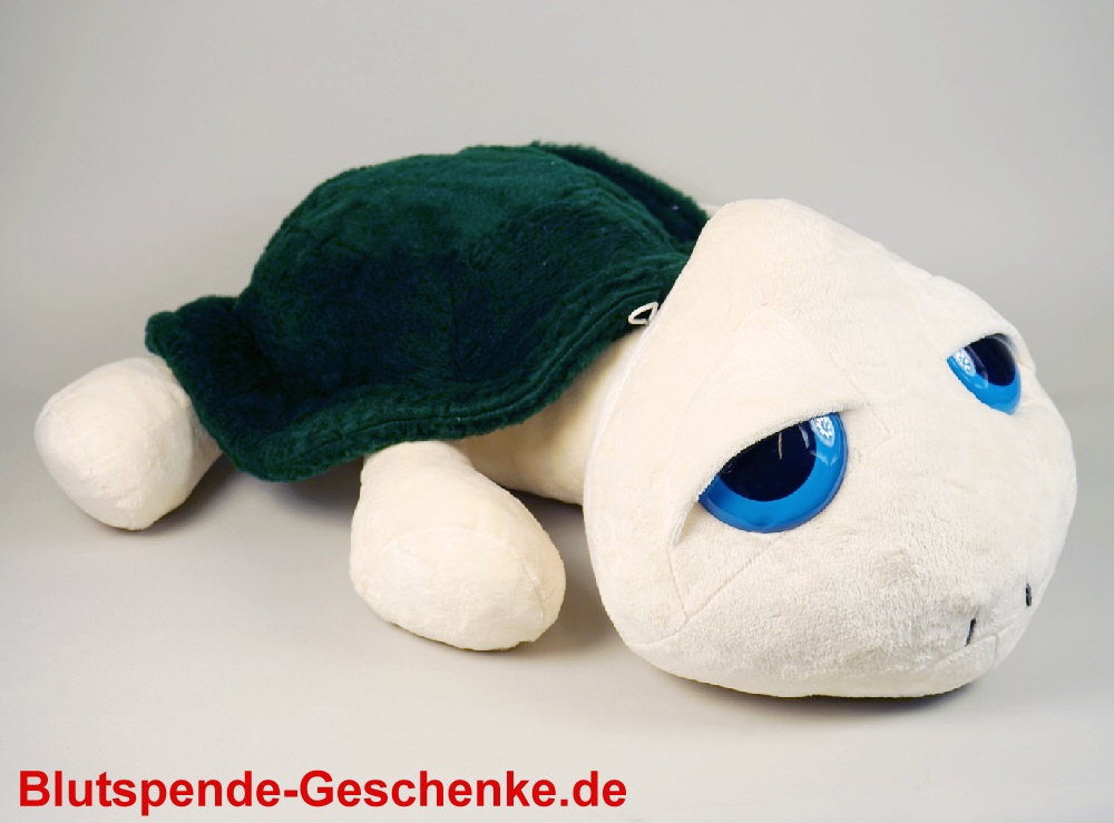Blutspendegeschenk Schildkröte aus Plüsch 70 cm