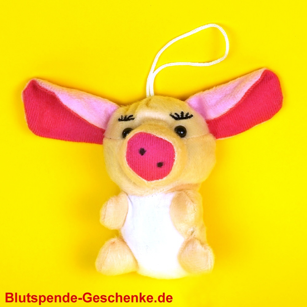 Blutspendegeschenk Plüsch-Schweinchen