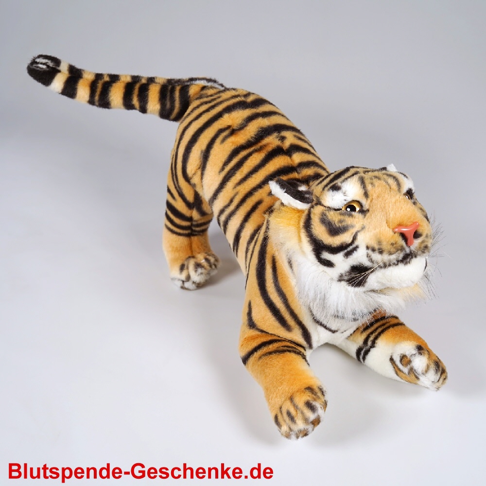 Blutspendegeschenk Plüschtiger