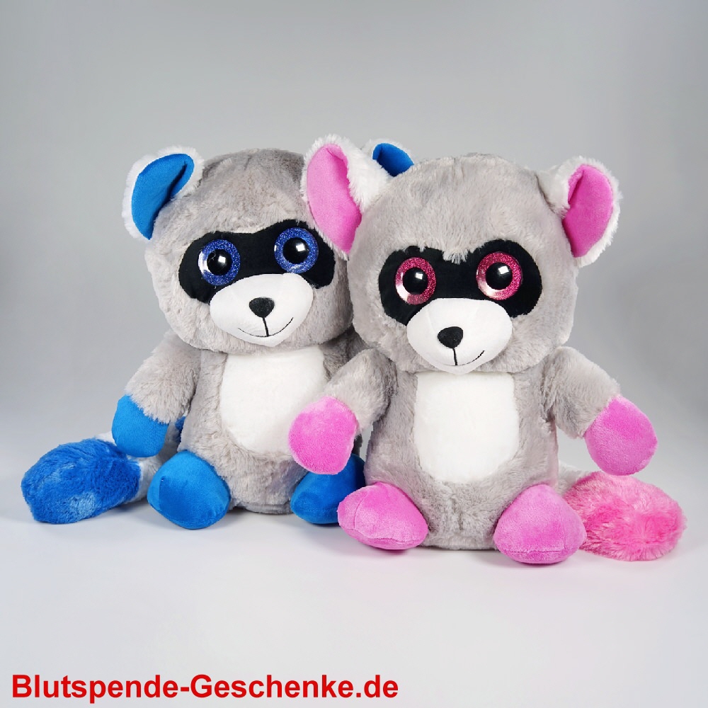 Blutspendegeschenk Plüsch-Waschbären