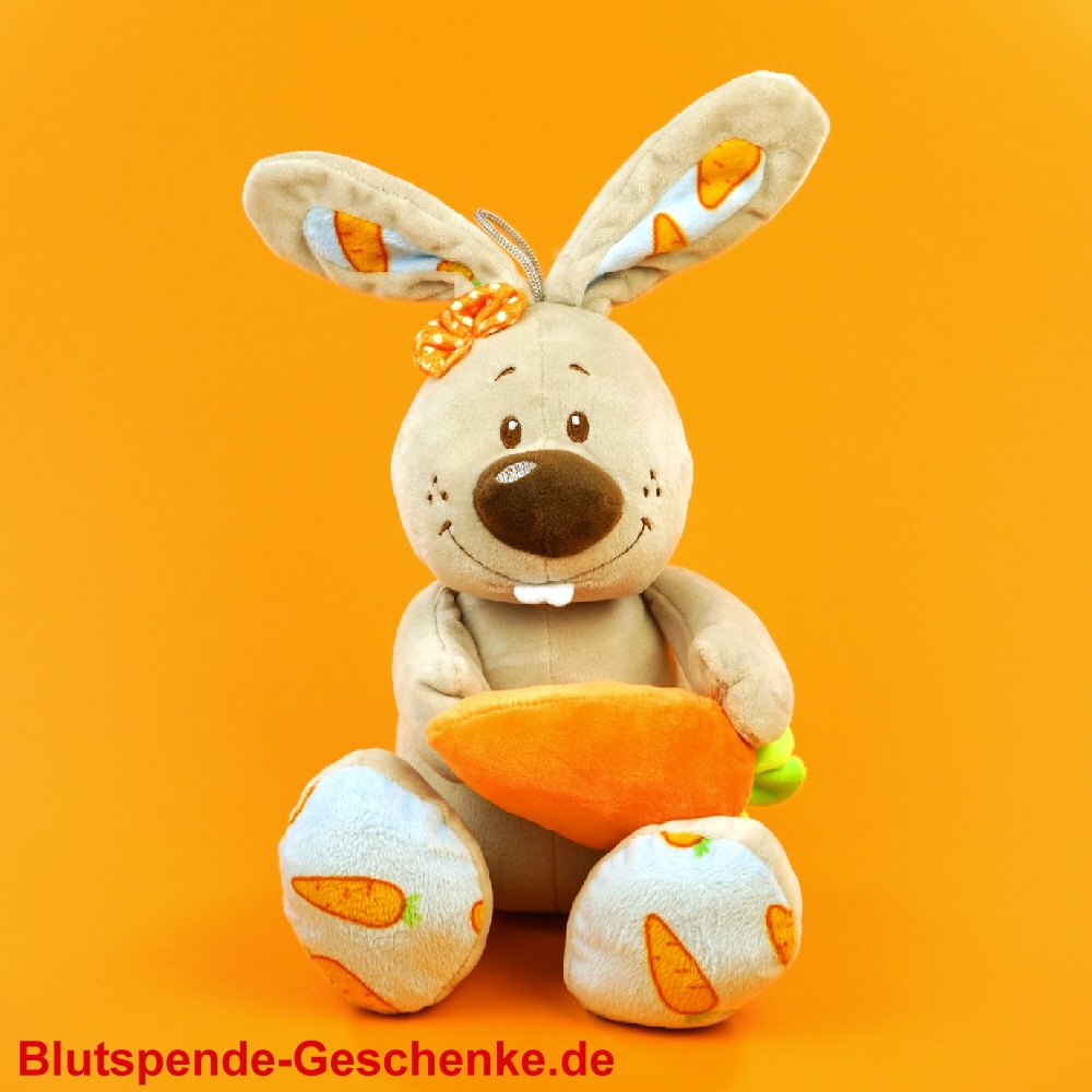 Blutspendegeschenk Hase mit Karotte aus Plüsch