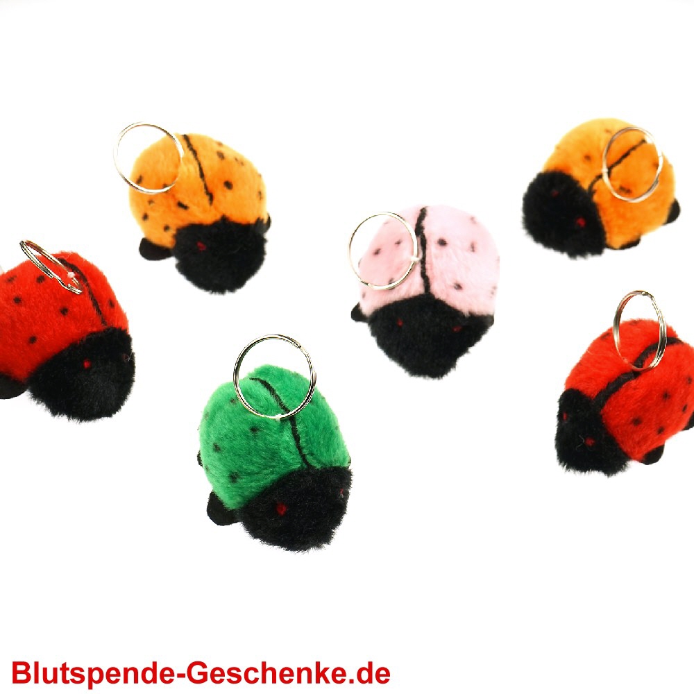 Blutspendegeschenk Pl&uuml;sch-K&auml;fer mit Schl&uuml;sselring