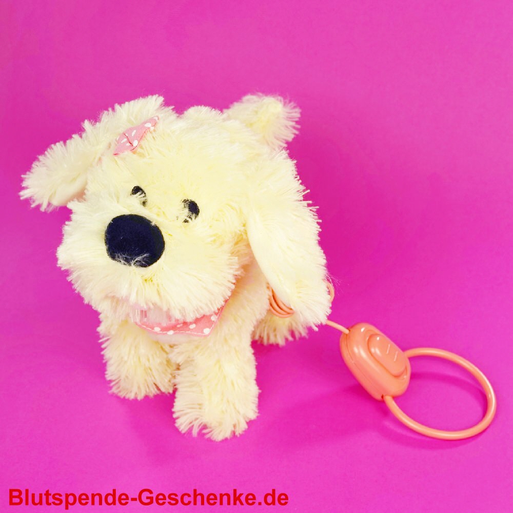 Blutspendegeschenk Plüsch-Hund mit Fernbedienung