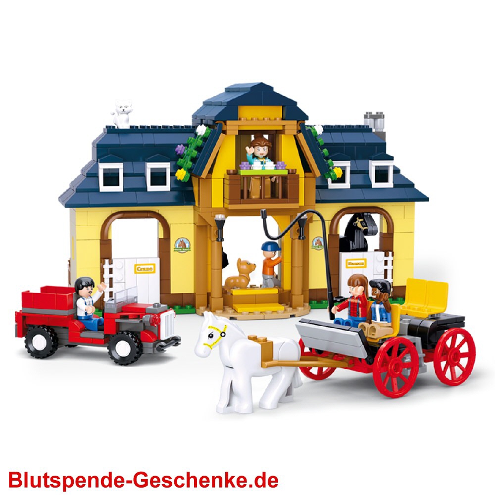 Blutspendegeschenk Ponyhof