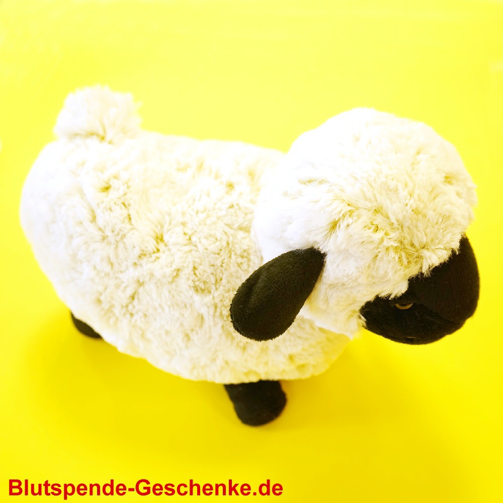 Blutspendegeschenk Plüsch Schaf stehend 25 cm