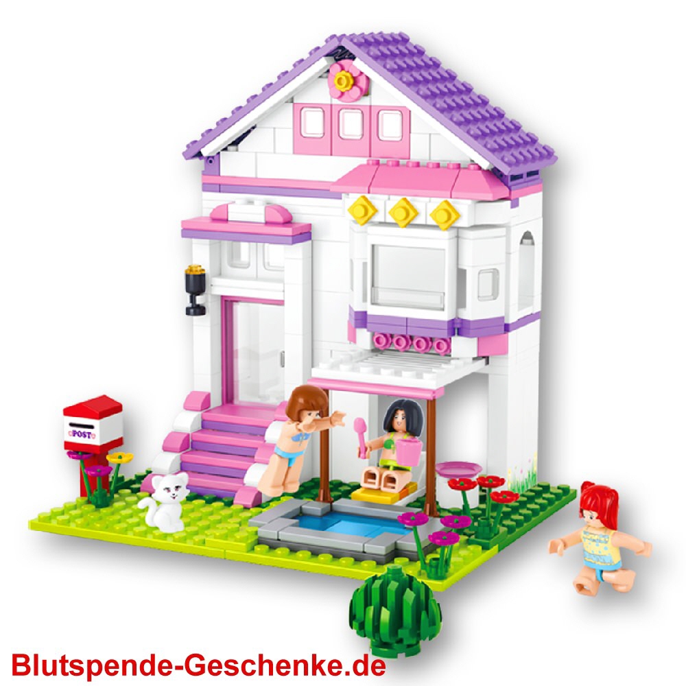 Blutspendegeschenk Klemmbausteinhaus
