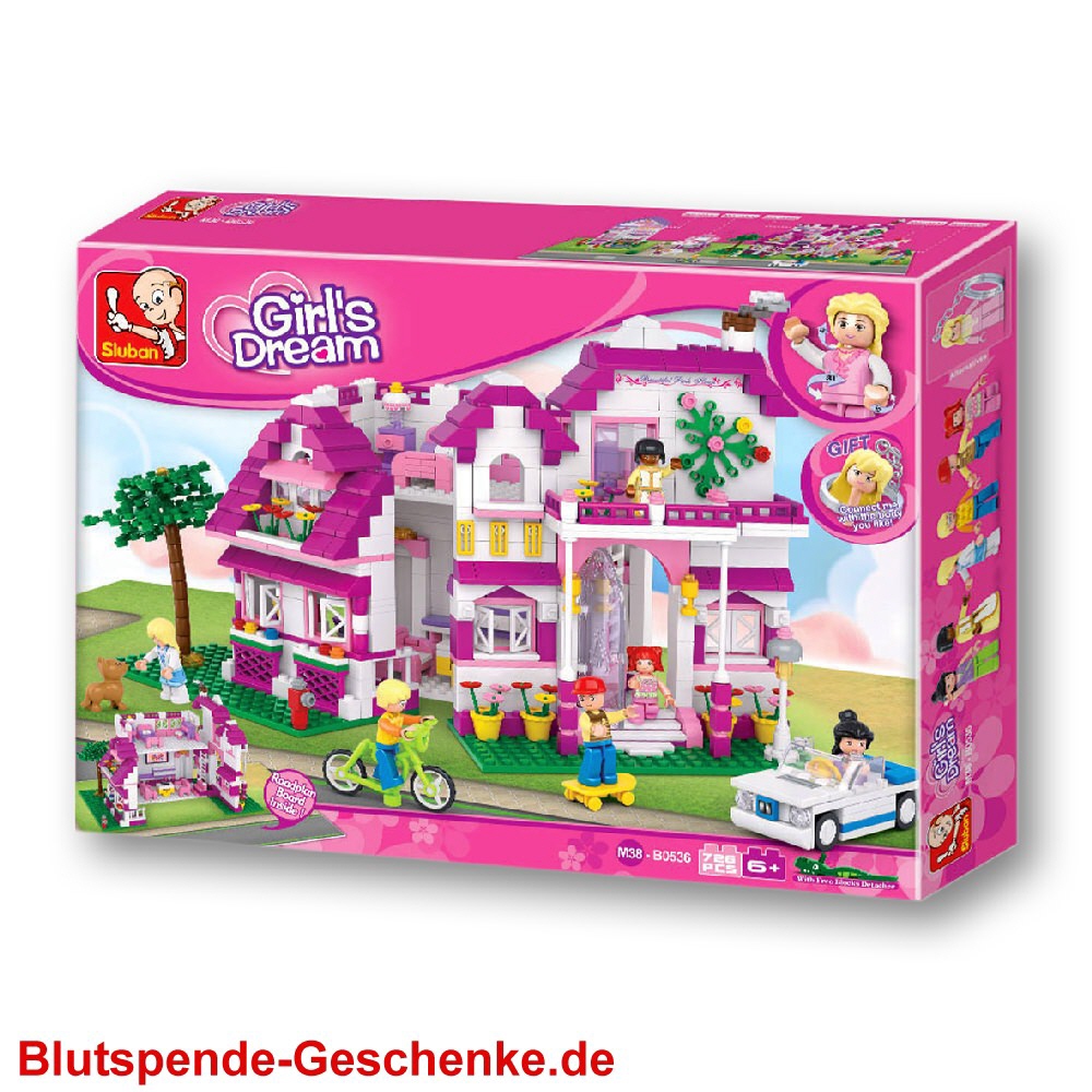 Blutspendegeschenk Bausteinset Villa