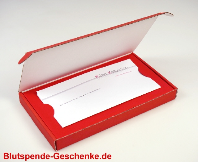 Mailingverpackung Powerbank