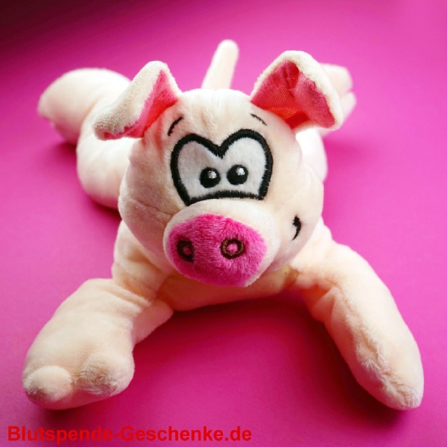 Plüsch-Schweinchen